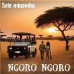 AUDIO : Sele Minamba – Ngoro Ngoro | Download