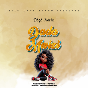 Dogo Necha – Dada Mwizi