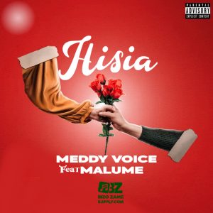 AUDIO : Malume Ft. Meddy Voice – Hisia {Mix} | Downloa...