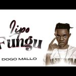 AUDIO : Dogo Mallo – Lipo Fungu | Download Mp3