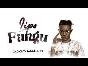 AUDIO : Dogo Mallo – Lipo Fungu | Download Mp3