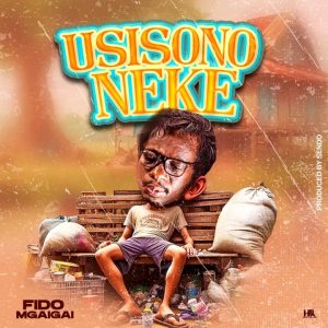 Audio | Fido Mgaigai – Usisononeke | Download