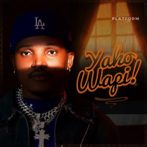 Audio | Platform – Yapo Wapi | Download
