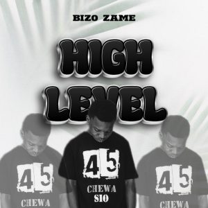 Audio | Dj Bizo Zame – High Level | Download
