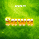 Audio | Junior Tz – Sawa | Download