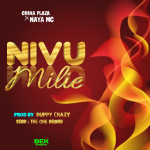 Audio | China Plaza ft Naya Mc – Nivumilie | Bizo Zame...