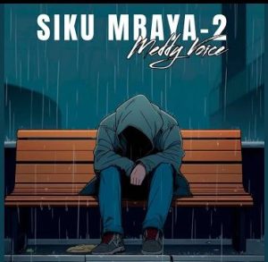 AUDIO : Meddy Voice – Siku Mbaya 2 | Download Mp3