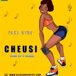 Audio | Paka nyau – Cheusi | download
