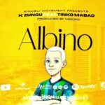 AUDIO : K Zungu Ft. Tinko Mabao – Albino | Download Mp...