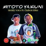 AUDIO : Meddy Voice Ft Challest Killer – Mitoto Ya Kiu...