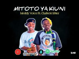 AUDIO : Meddy Voice Ft Challest Killer – Mitoto Ya Kiu...