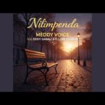 AUDIO: Meddy Voice – Nilimpenda | Download Mp3