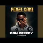 Don Breezy Ft. Malume – Penzi Gani