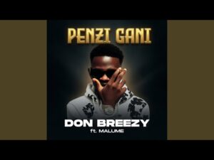 Don Breezy Ft. Malume – Penzi Gani