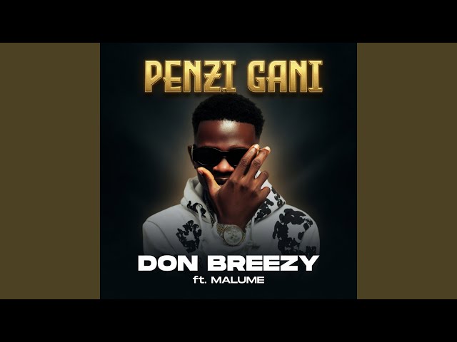 Don Breezy Ft. Malume – Penzi Gani