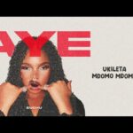 Zuchu – Aye