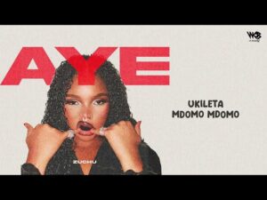 Zuchu – Aye