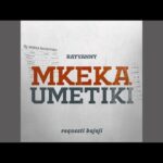 Rayvanny – Mkeka Umetiki