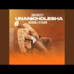 Don Breezy Feat. Msomali Vitamin – Unanichoresha (Offi...