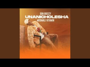 Don Breezy Feat. Msomali Vitamin – Unanichoresha (Offi...