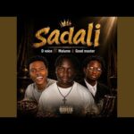 D Voice Ft. Malume – Sadali