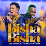 Bisha Bisha (Official Audio 2026) Download