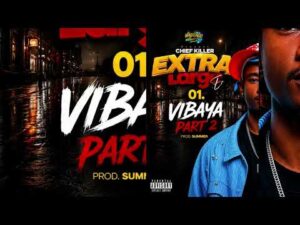 Chief Killer – Vibaya 2 | Download Mp3