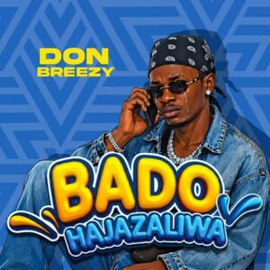 Bado Hajazaliwa | Download Mp3