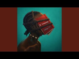 Meddy Voice – Si Unaona (Official Audio 2026)Download